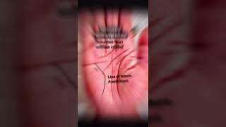 Palmistry Reading Palmistry palmist palmread palmreading palmreadinglifeline palmmarriageline [upl. by Alane]