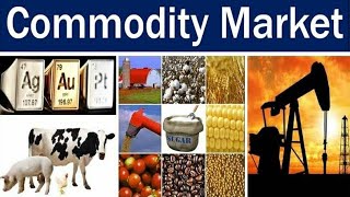 Commodity Market Participants [upl. by Stronski]