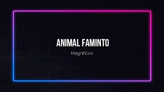 Animal Faminto  Magníficos  canteOKÊ c Backing Vocal [upl. by Kaule557]