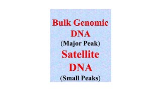 Satellite DNA microsatellite and minisatellite  NCERT NEET [upl. by Adnarym523]