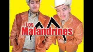 Los malandrines  el rey de la lokera [upl. by Hays]