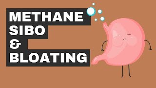 Methane SIBO  Two Tips to Beat The BLOAT [upl. by Rraval931]