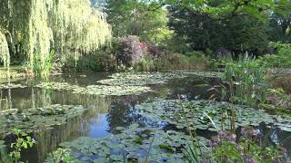 Quick Visit to Claude Monets home in Giverny France [upl. by Enirhtac]