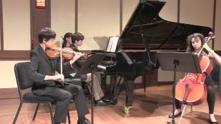 Reinecke Trio for Piano Violin Cello [upl. by Ttegirb]