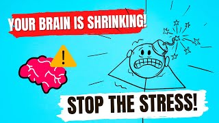 How Stress Can Shrink Your Brain How to Reverse the Damage [upl. by Radman]