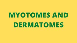 MYOTOMES AND DERMATOMES [upl. by Adolphe]