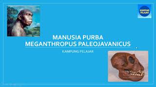 SEJARAH  Manusia Purba Meganthropus Paleojavanicus [upl. by Welcy]