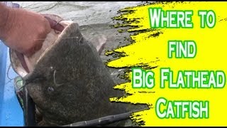 Places to look for flathead catfish on the Ohio River [upl. by Siger]