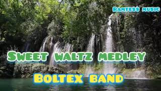 Live Band Sweet WaltzMedleyBoltex [upl. by Wehhtam]