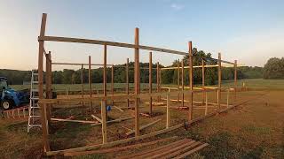 Building a peafowlpheasant enclosure and flight pen part 1 [upl. by Allis]