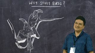 Basic Ornithology Why Study Birds [upl. by Eiramoj]