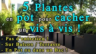 5 Plantes à Mettre en Bac comme Brise Vue  sur balconterrasse [upl. by Ahsirtak963]