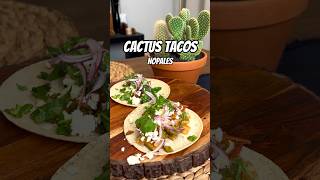 Cactus Tacos Nopales 🌮 🌵 [upl. by Kleeman]