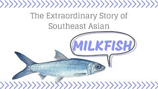 The Extraordinary Story of Southeast Asian Milkfish Chanos chanos [upl. by Orola]