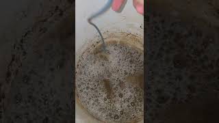 Brew over a week now  mushroom based microbes  organic compost tea gardening [upl. by Odnesor443]