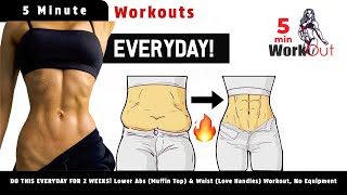 DO THIS EVERYDAY FOR 2 WEEKS Lower Abs Muffin Top amp Waist Love Handles Workout No Equipment [upl. by Erimahs382]