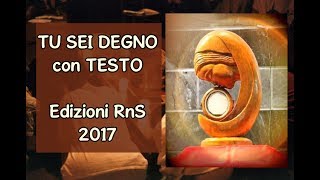 TU SEI DEGNO con sottotitoli edizioni RnS 2017 [upl. by Yoong]