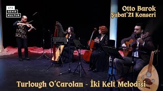 Turlough OCarolan  İki Kelt Melodisi Canlı Performans [upl. by Pacien]