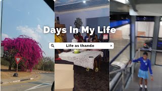 Days in my life New phone for mom Valley hyper Birthday cakesamp more♤ [upl. by Noeruat180]