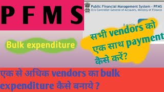 PFMS me Bulk payment kaise kare PFMS bulk expenditure  pfms pfmsportal [upl. by Paz]