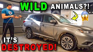 Can This DESTROYED Car Be Saved  The Detail Geek [upl. by Carman]