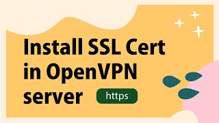 Part 1 How to install SSL certificate in OpenVPN Access Server on AWS [upl. by Nallak1]