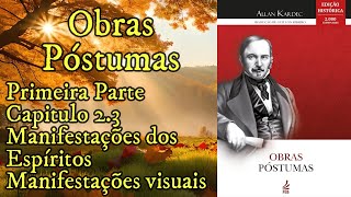 Manifestações visuais  Capítulo 23  Manifestações dos Espíritos  Obras Póstumas  Audiobook [upl. by Holt825]