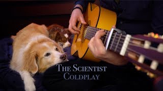 The Scientist  Coldplay Fingerstyle Guitar [upl. by Yeknarf]