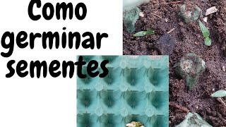 Como Germinar Sementes Sem Gastar Com Sementeiras Plantei Pimentão [upl. by Camille743]