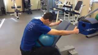 Erector Spinae Exercises [upl. by Madison]