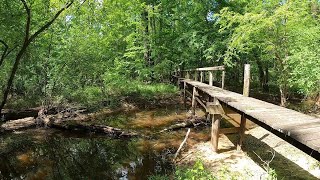 4C National Recreation Trail  A 20mile Hike Through the East Texas Piney Woods [upl. by Elletsyrk]