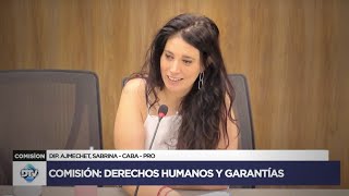 COMISIÓN COMPLETA DERECHOS HUMANOS Y GARANTÍAS  12 de noviembre 2024  Diputados Argentina [upl. by Eahsal]