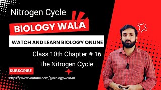 Class 10  Biology  Chapter 16  Lecture 5  Nitrogen Cycle [upl. by Tupler]