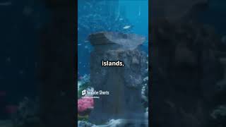 Unbelievable Secrets of the Whitsunday Islands Revealed 🌴🌊 shorts ytshorts [upl. by Anialed]