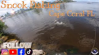 Fishing four freedom park amp cape coral prwy bridge [upl. by Fuchs]