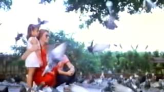 El Ataque De Los Pajaros Beaks The Movie Rene Cardona Jr Mexico España 1987  Trailer [upl. by Starlin]