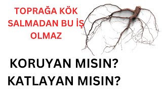 Emeklilik Hayal Oldu Kök Salmadan Olmaz Taraf Olmayan Bertaraf Olur Parayı Büyütmeyen Kaybedecek [upl. by Ivgnout]