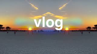 vlog trees and lucy [upl. by Gniw]