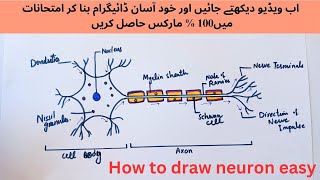 Easy way to draw neuron diagram with label How to draw neuron step by step [upl. by Hallsy813]