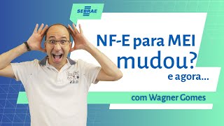 Não consigo emitir NFE O que fazer  Especialista Sebrae [upl. by Erminia]