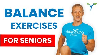 Balance Exercises for Seniors  Fall Prevention  Balance Exercises for Elderly [upl. by Apgar]