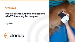 Practical Small Animal Ultrasound AFAST Scanning Techniques [upl. by Ayanahs]