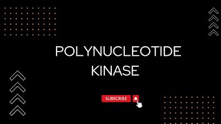 Polynucleotide Kinase csirnet bsc enzymes neet [upl. by Zandt]