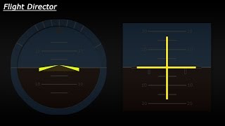 Flight Director Explained [upl. by Leuqram84]