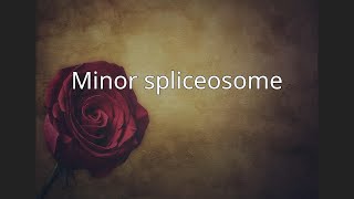 Minor spliceosome [upl. by Craggie]