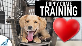 Crate Training Doesnt Need To Be Stressful [upl. by Ahsyt]