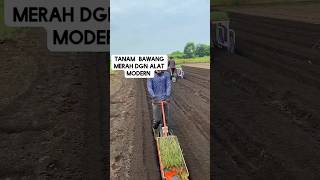 Cara Alat Modern Tanam Bawang Merah viralvideo viralshorts [upl. by Balmuth]