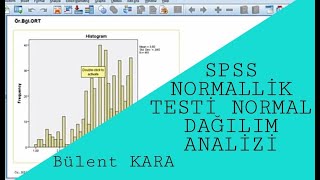 SPSS NORMALLÄ°K TESTÄ° NORMAL DAÄILIM  Kolmogorov Smirnov ShapiroWilk Testleri SkewnessKurtosis [upl. by Noicpesnoc]