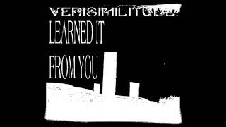 VERISIMILITUDE  learned it from you noise [upl. by Etnoved]