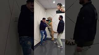 🐅🐅🐅🐅 tiger lion bangladesh yoytubeshorts foryou [upl. by Willy]